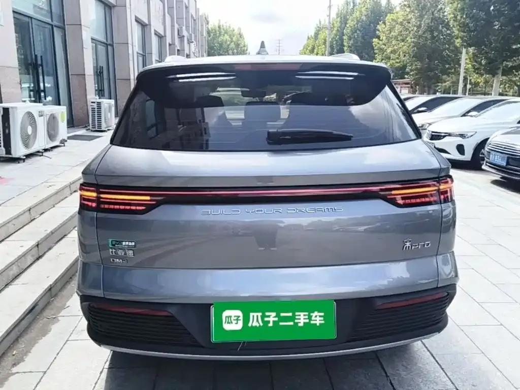 BYD Pro New Energy — фото 8
