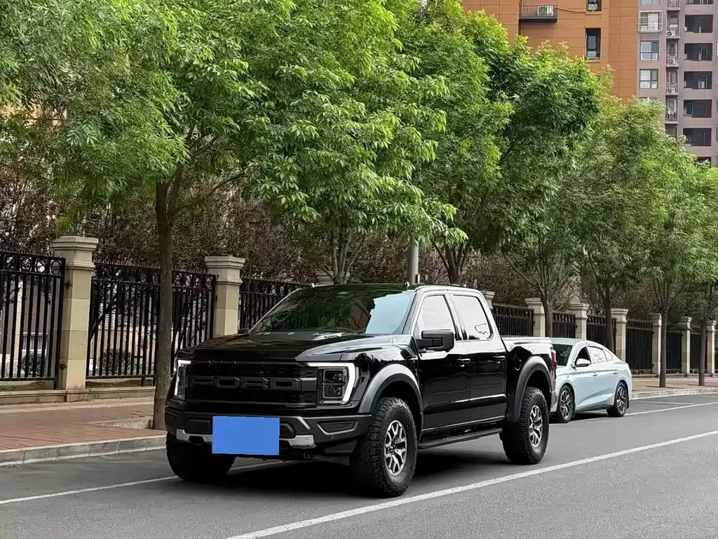Ford F-150 Raptor — фото 1