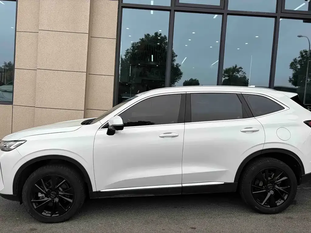 Haval H6 — фото 9