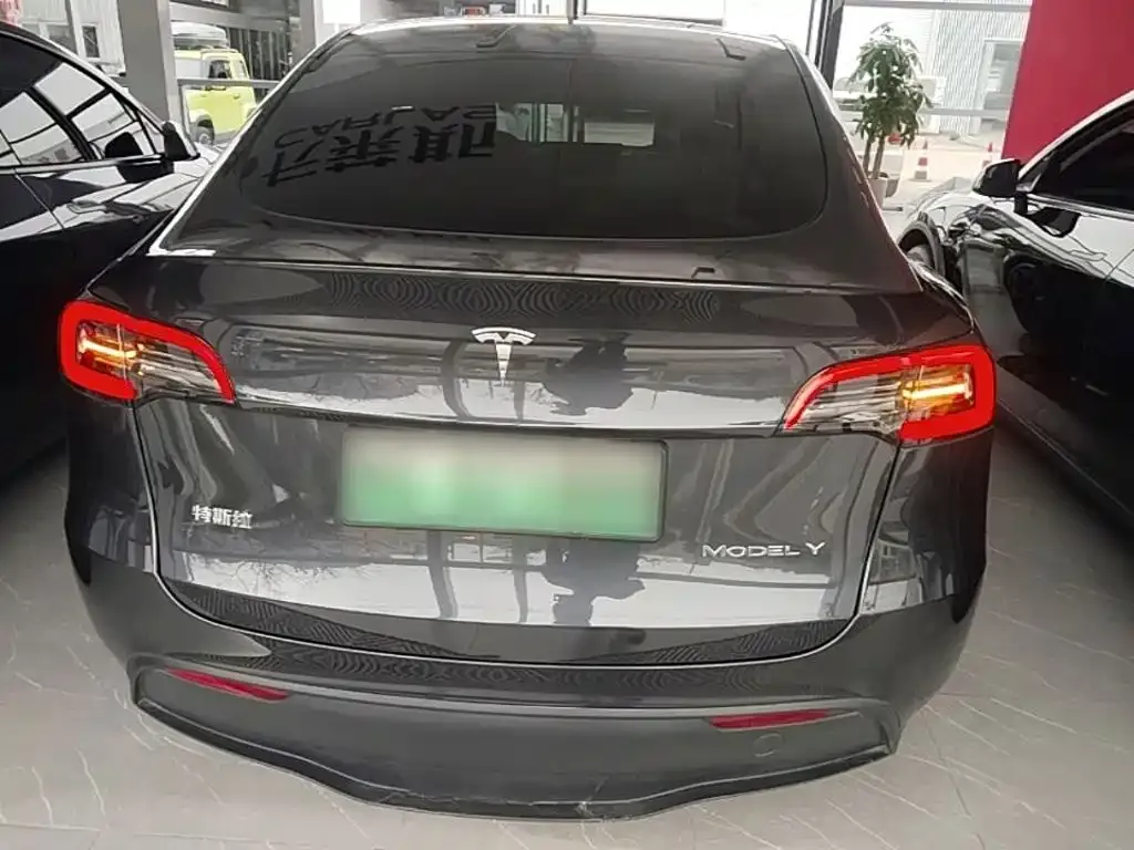 Tesla Model Y — фото 10