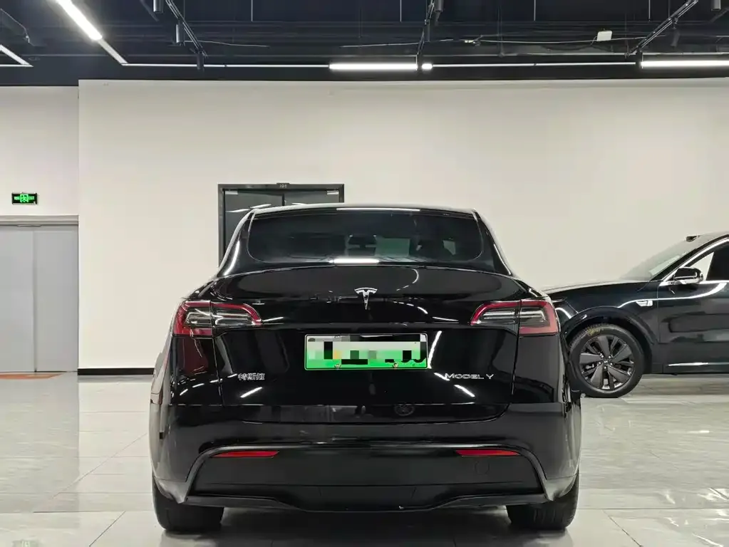 Tesla Model Y — фото 2