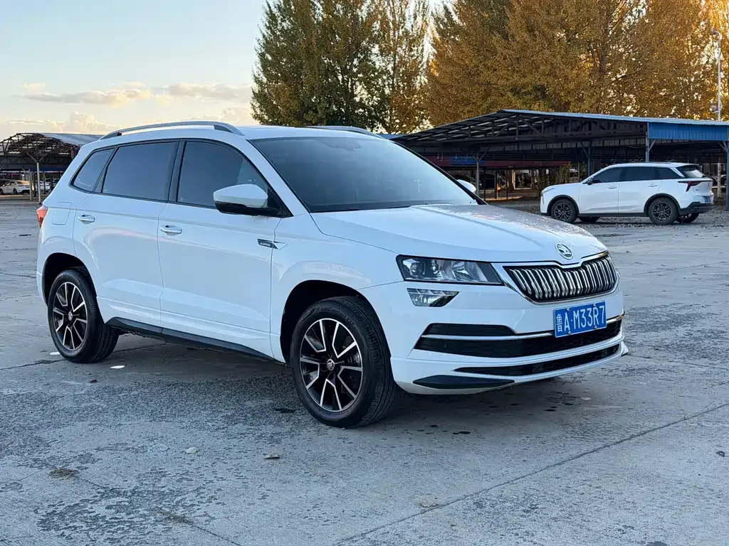 Skoda Karoq — фото 6