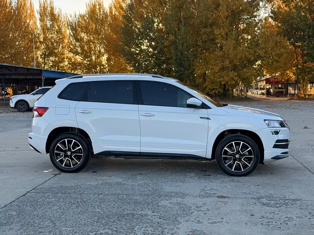 Skoda Karoq — фото 7