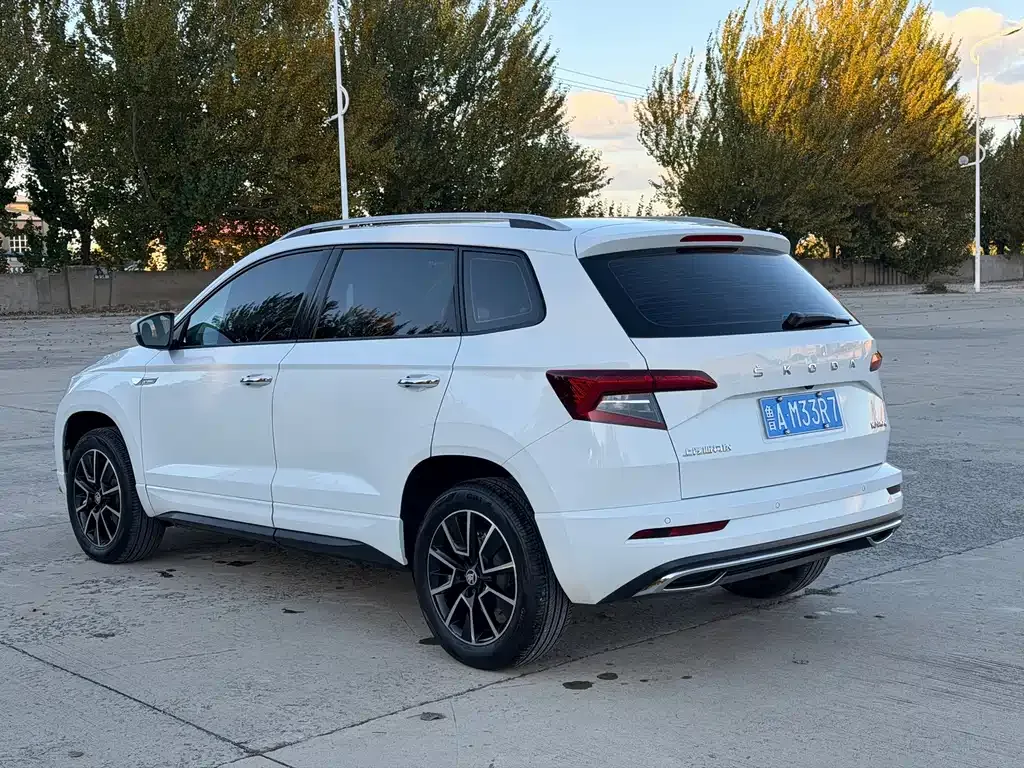 Skoda Karoq — фото 10