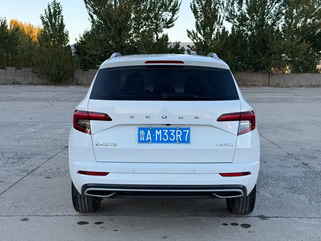Skoda Karoq — фото 9