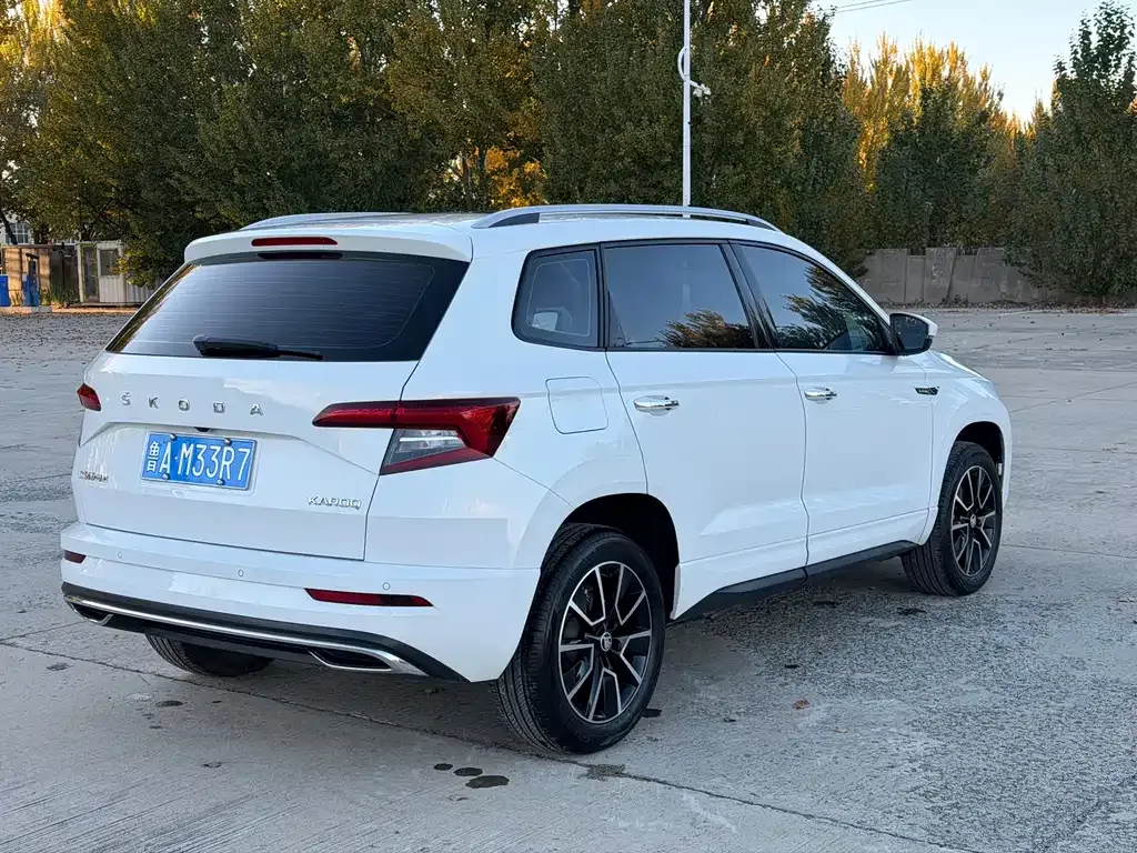 Skoda Karoq — фото 8