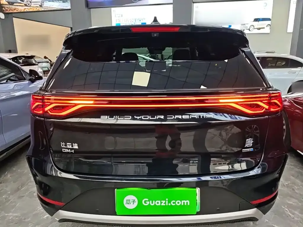 BYD Tang New Energy — фото 10