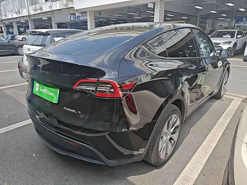 Tesla Model Y — фото 10