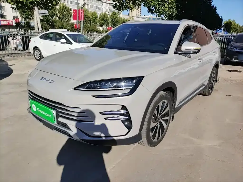 BYD PLUS New Energy — фото 1