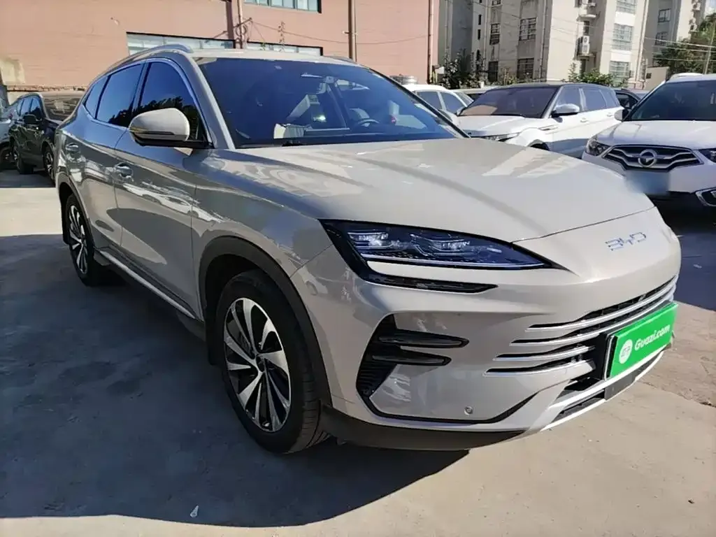 BYD PLUS New Energy — фото 4