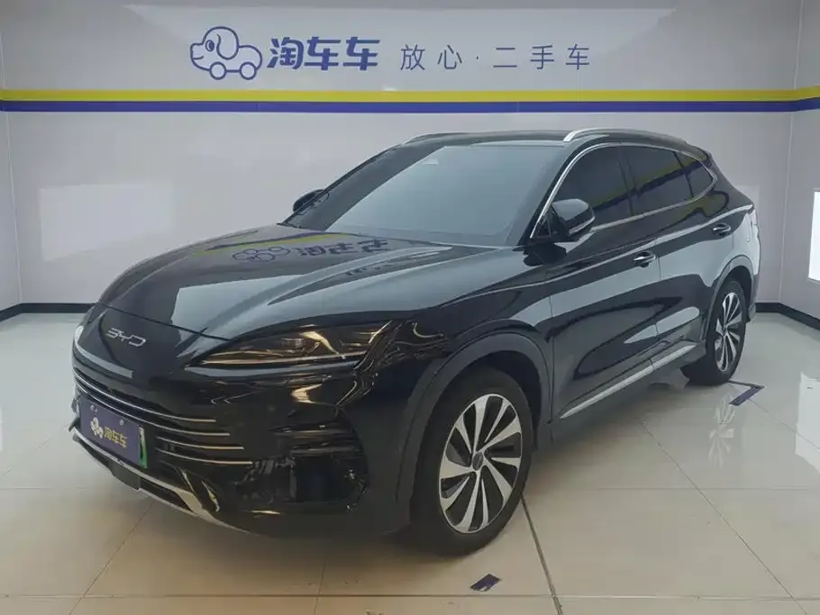BYD PLUS New Energy — фото 1