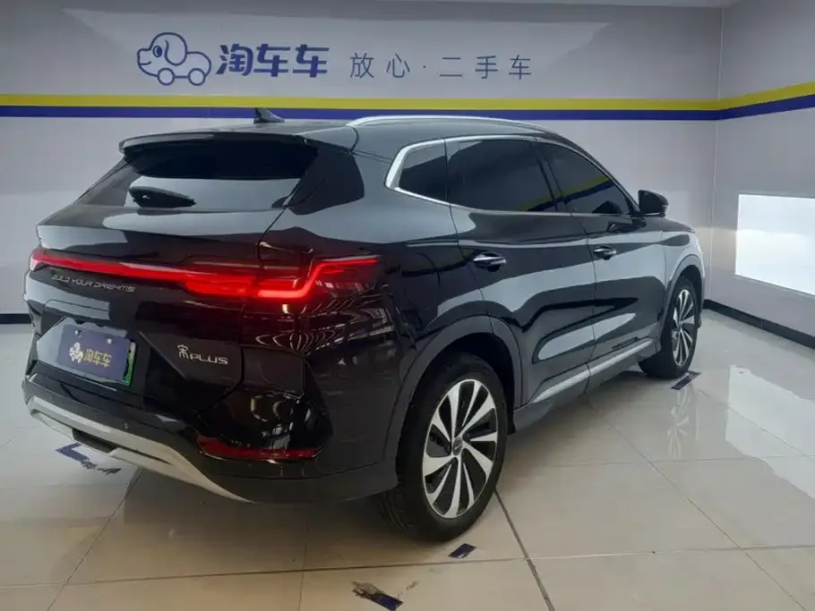 BYD PLUS New Energy — фото 9