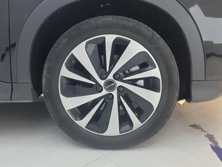 BYD PLUS New Energy — фото 10