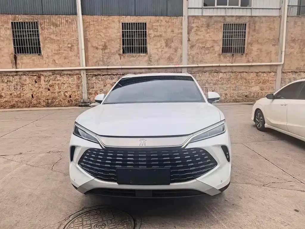 BYD L DM-i — фото 7