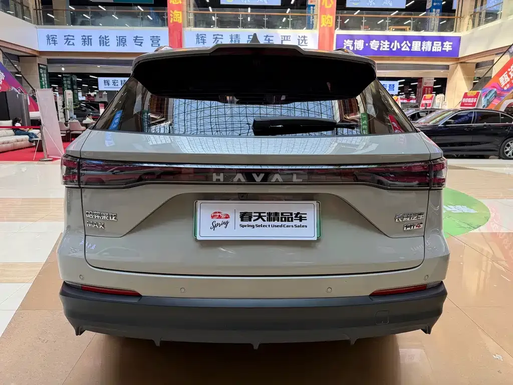 Haval Xiaolong MAX — фото 10