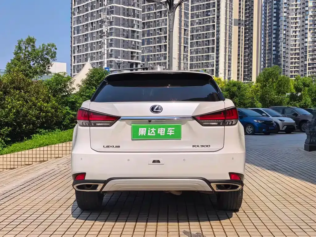 Lexus RX — фото 10
