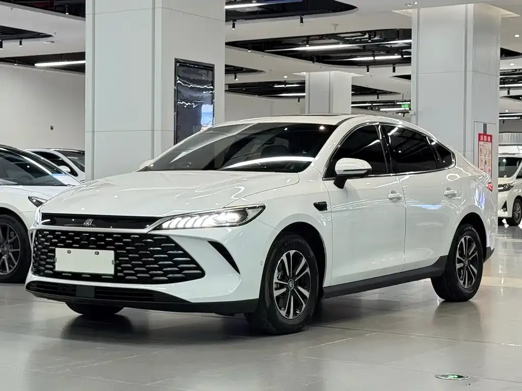 BYD Qin PLUS — фото 1
