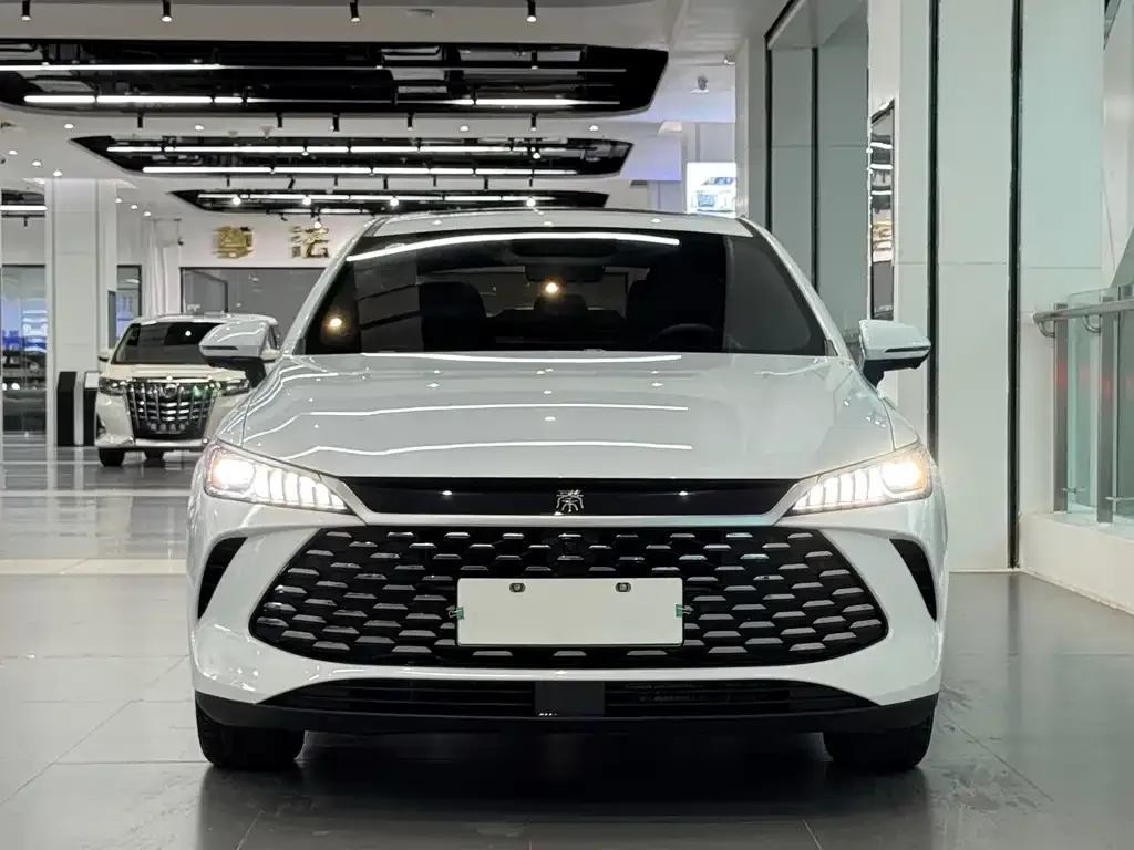 BYD Qin PLUS — фото 2
