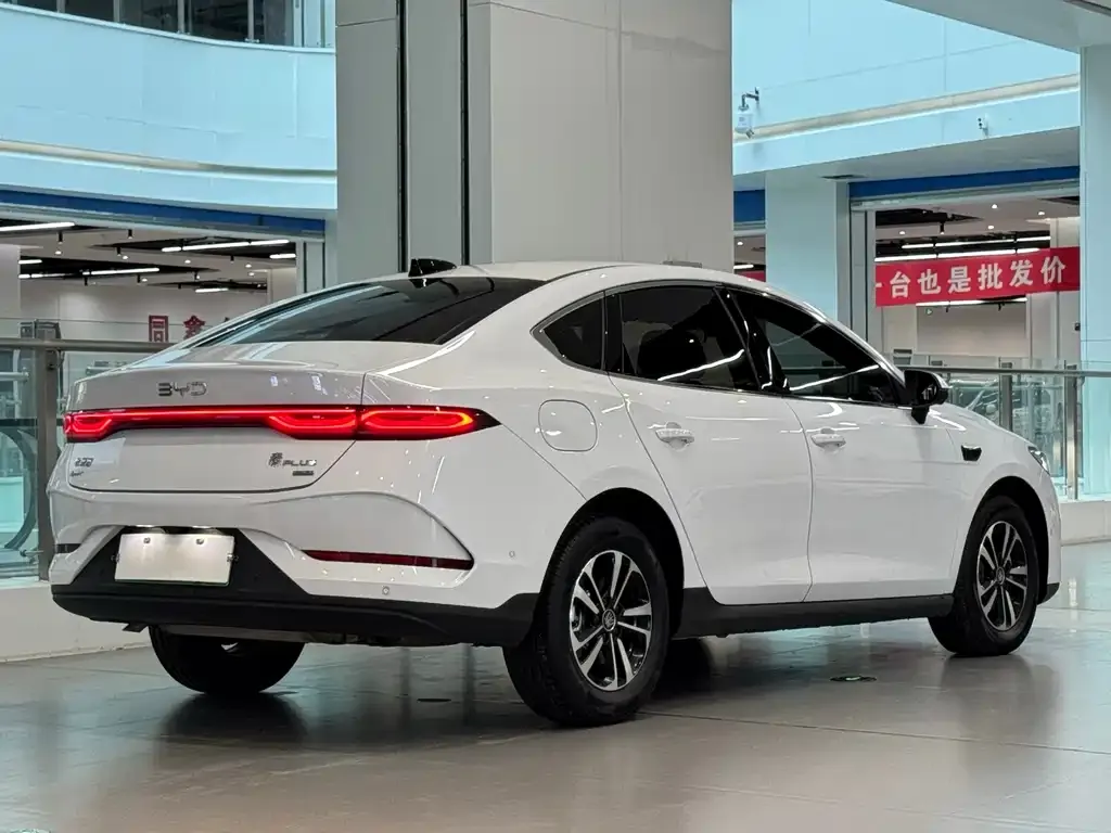 BYD Qin PLUS — фото 6