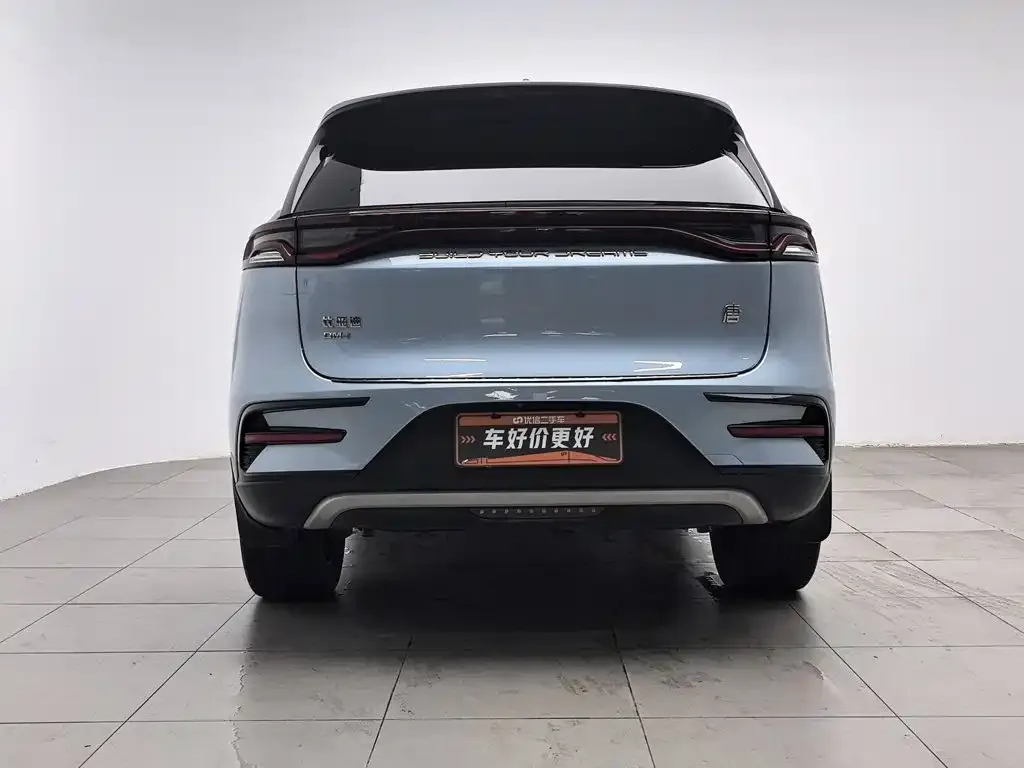 BYD Tang New Energy — фото 10