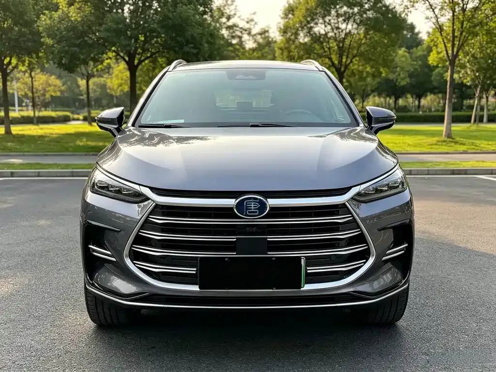 BYD Tang New Energy — фото 10