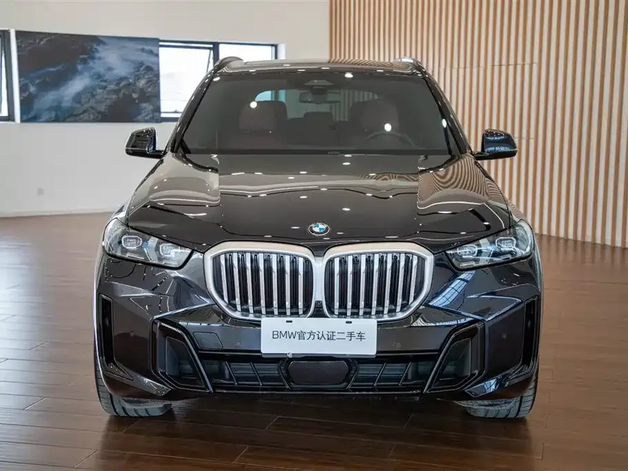 BMW X5 — фото 10