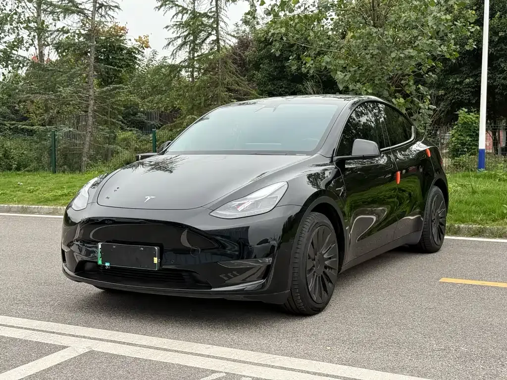 Tesla Model Y — фото 1