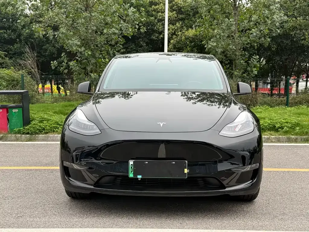 Tesla Model Y — фото 4