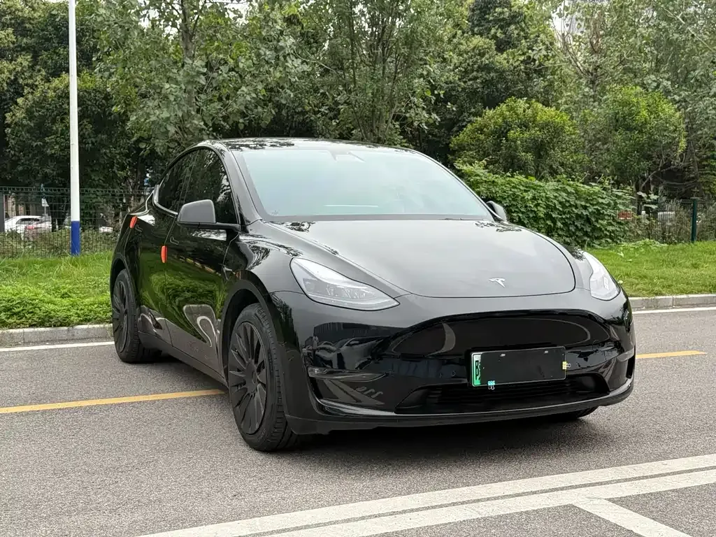 Tesla Model Y — фото 6
