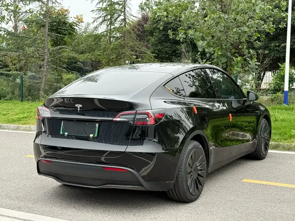 Tesla Model Y — фото 8