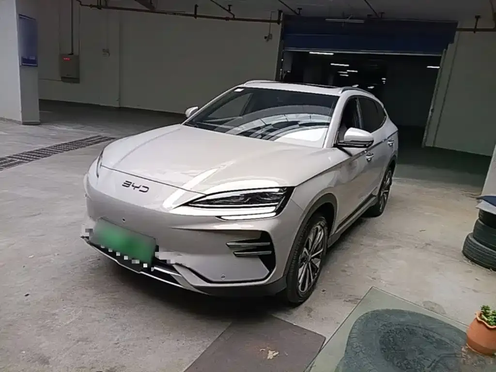 BYD PLUS New Energy — фото 1