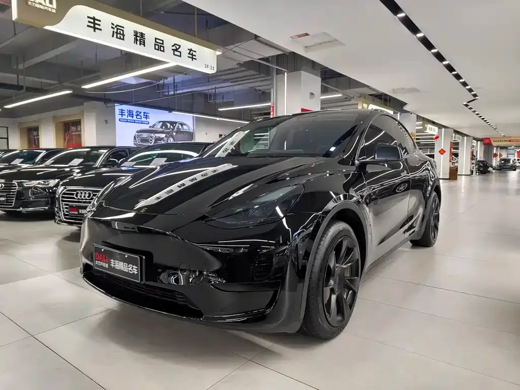 Tesla Model Y — фото 1