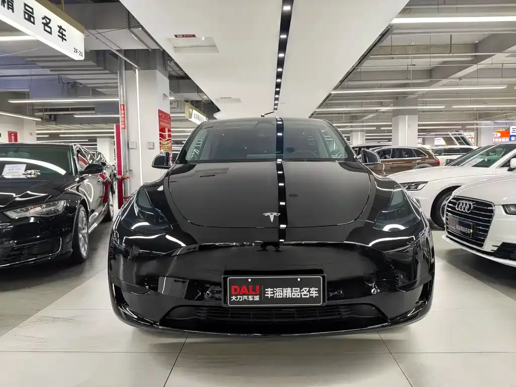 Tesla Model Y — фото 3