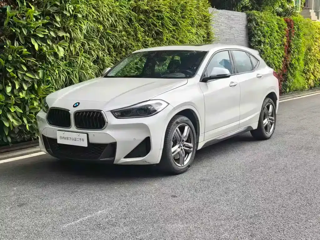 BMW X2 — фото 1