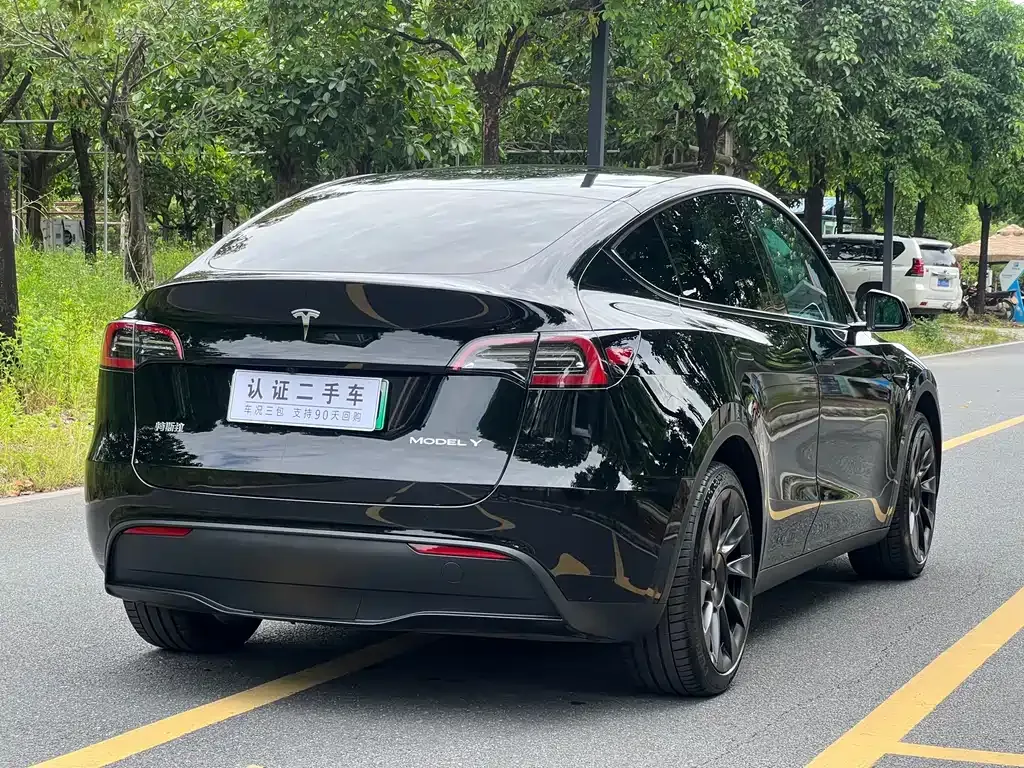 Tesla Model Y — фото 2