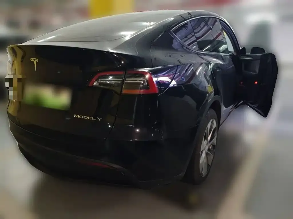 Tesla Model Y — фото 7