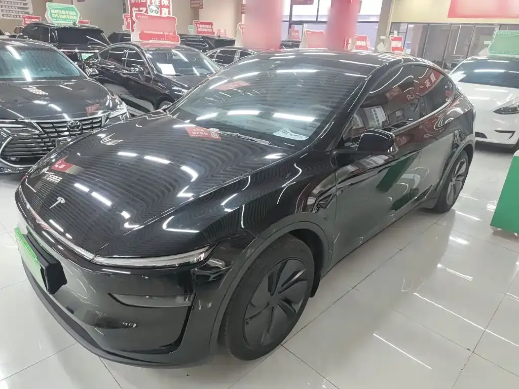 Tesla Model Y — фото 9