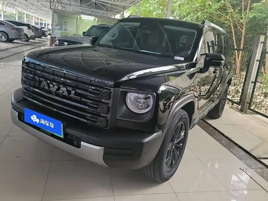 Haval Menglong New Energy — фото 1