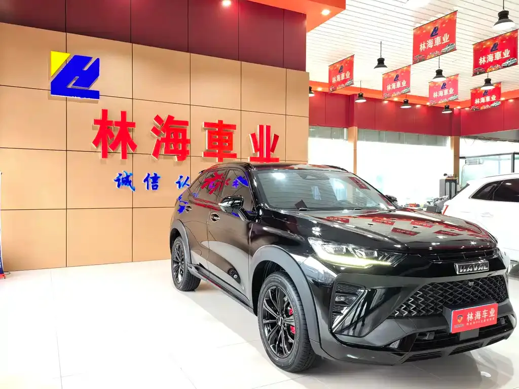 Haval H6S — фото 6