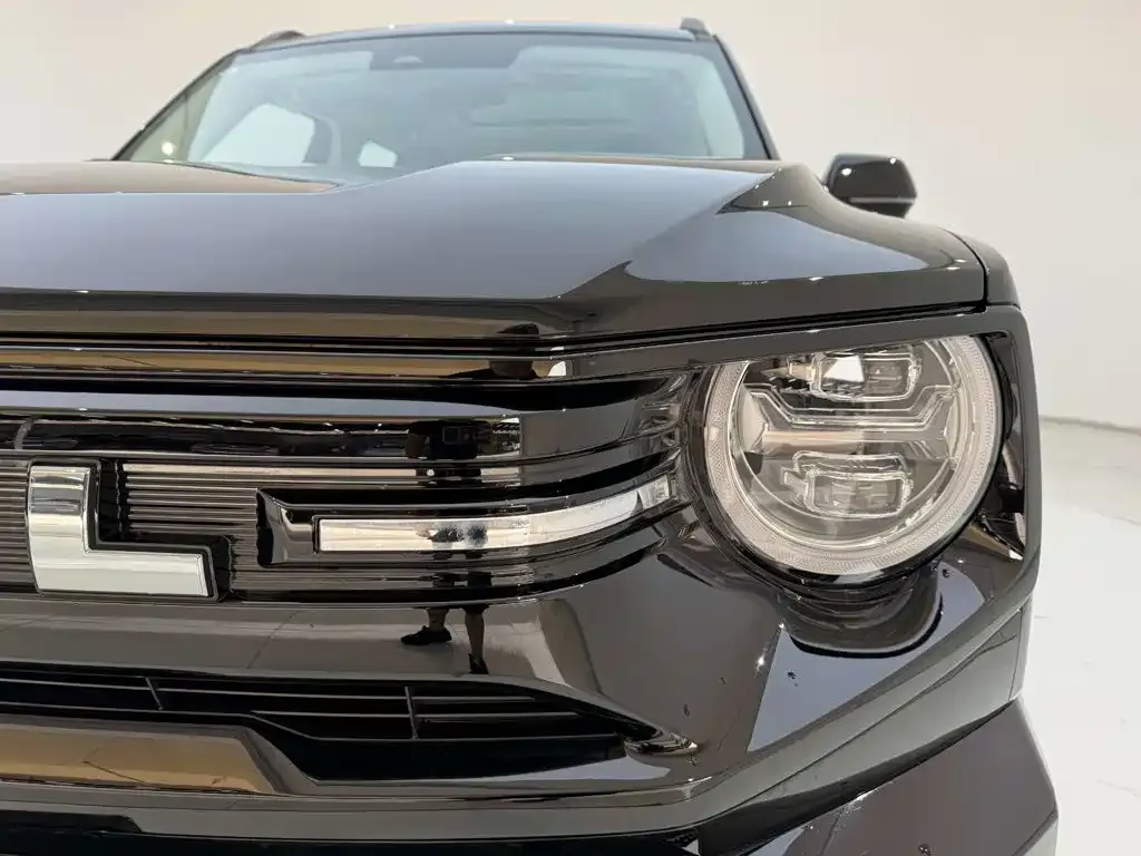 Haval Big Dog PLUS New Energy — фото 3