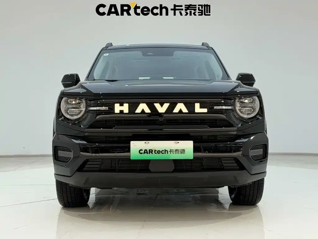 Haval Big Dog PLUS New Energy — фото 5