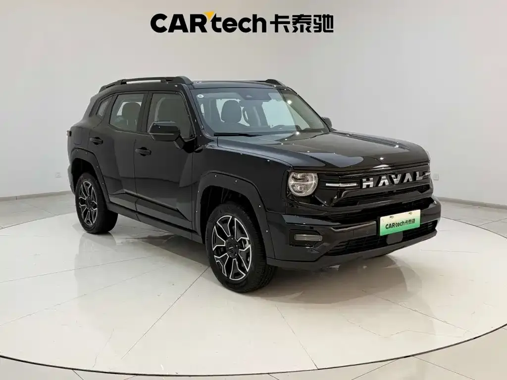 Haval Big Dog PLUS New Energy — фото 10
