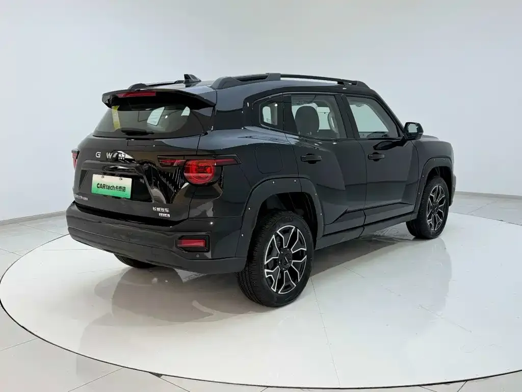 Haval Big Dog PLUS New Energy — фото 2