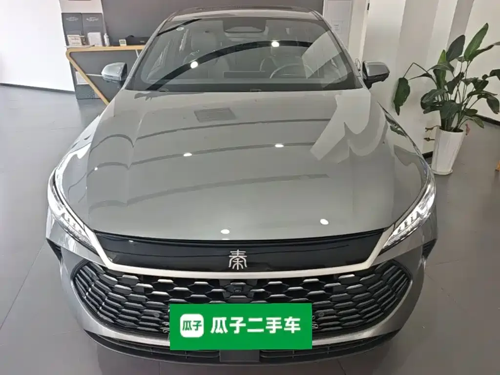 BYD Qin PLUS — фото 2