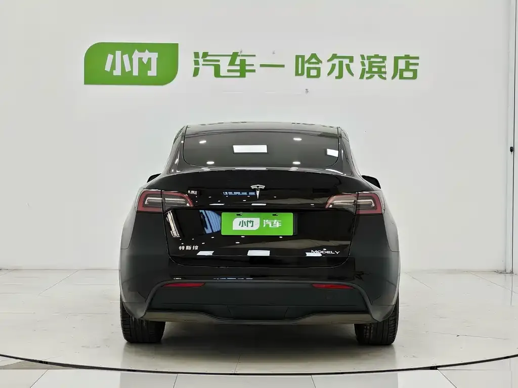 Tesla Model Y — фото 2