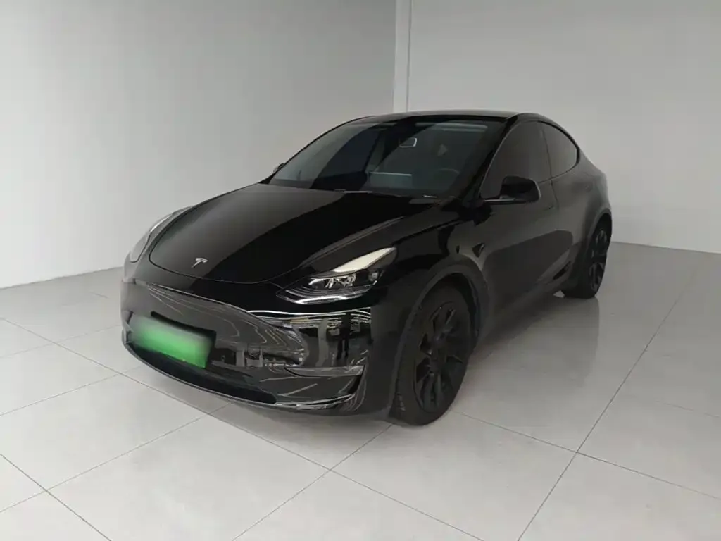 Tesla Model Y — фото 10