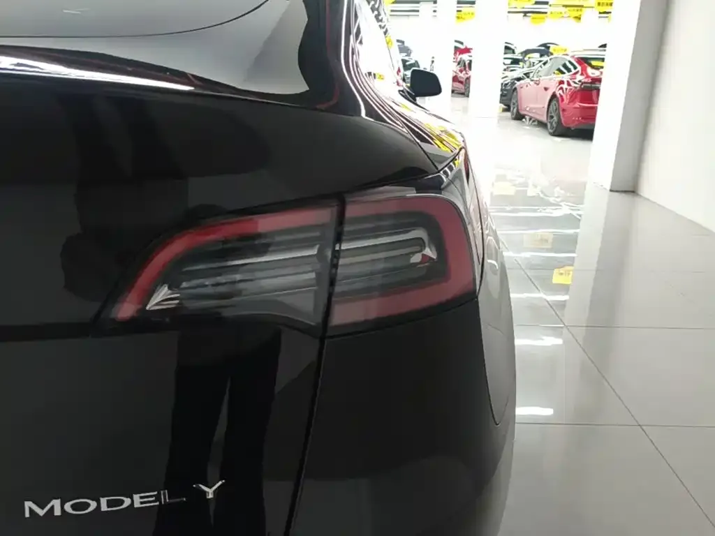 Tesla Model Y — фото 3