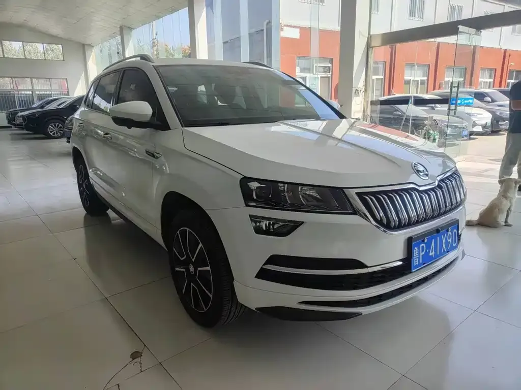 Skoda Karoq — фото 9
