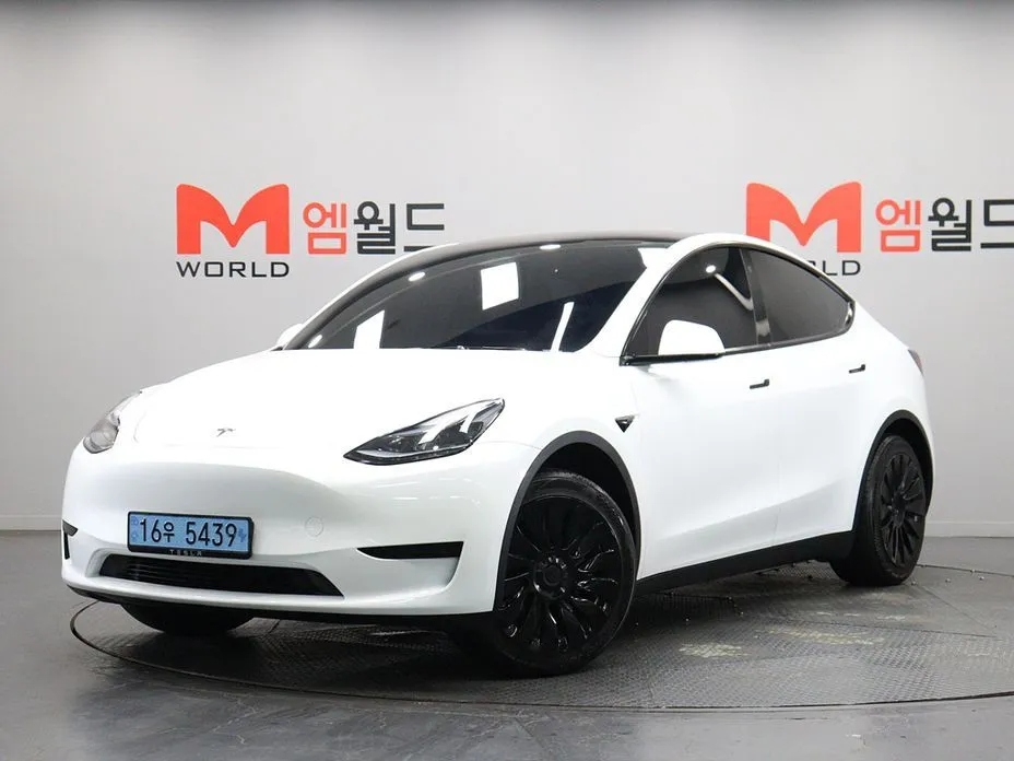 Tesla Model Y — фото 1