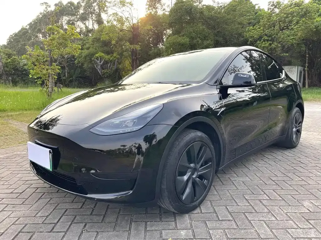 Tesla Model Y — фото 1